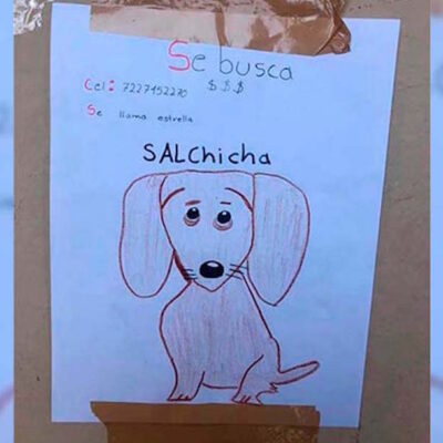 Niño de Toluca busca a su perrita salchicha con un dibujo