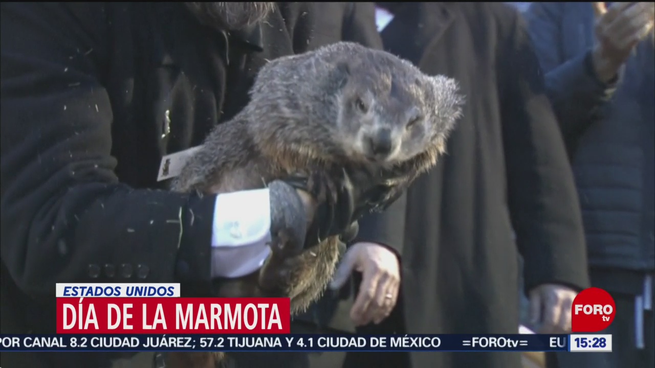 FOTO: 2 Febrero 2020, se celebra en estados unidos el dia de la marmota