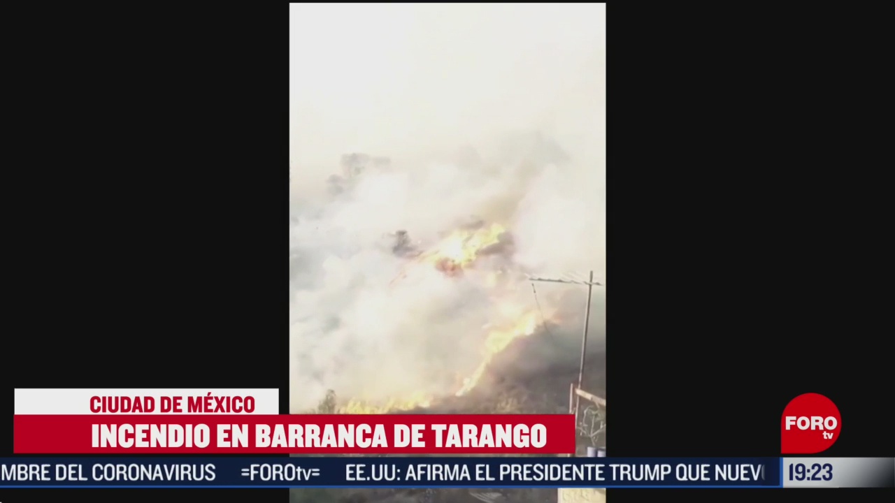 Foto: Video Incendio Pastizales Álvaro Obregón Barranca Tarango 10 Febrero 2020