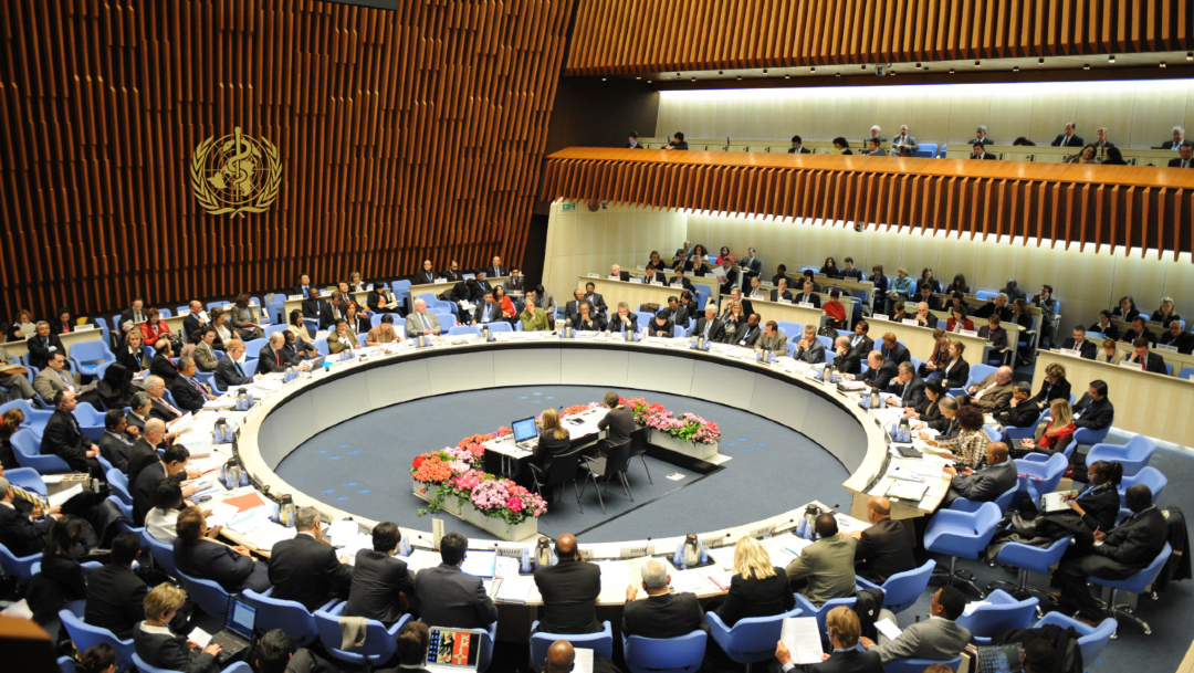 Fotografía de archivo que muestra una sesión en la sede de la OMS en Ginebra, Suiza, 14 febrero 2020