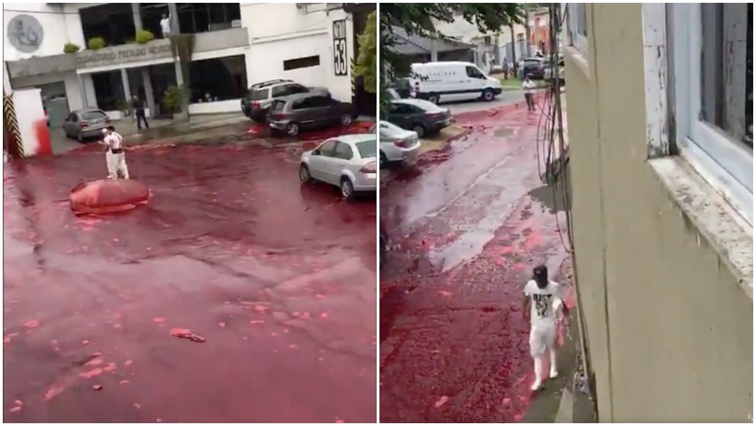 sangre-animal-calles-inundadas-inundacion-Argentina