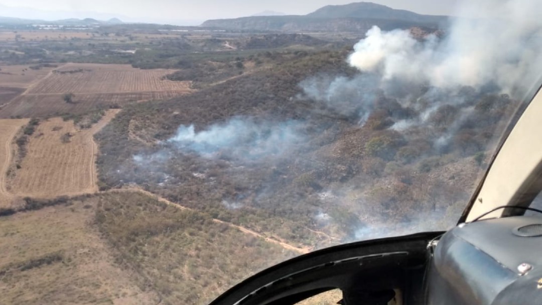 Se registra incendio en el Bosque de la Primavera, en Jalisco
