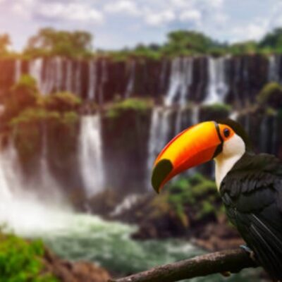 Coronavirus: Argentina cierra las Cataratas del Iguazú y otros 10 parques nacionales por COVID-19