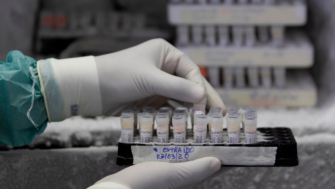 Foto; Comenzarán en septiembre a probar en humanos vacuna contra coronavirus 