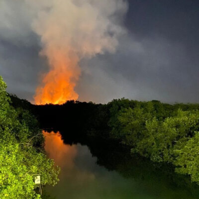 Incendio en Puerto Vallarta consume casi dos hectáreas de área natural protegida