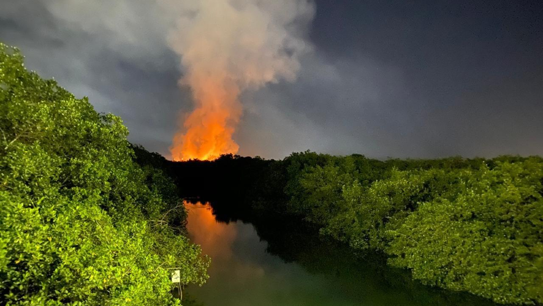 Foto: Incendio Puerto Vallarta, Puerto Vallarta, Incendio Área Natural Protegida, Jalisco, 27 de marzo de 2020, (Enrique Alfaro)