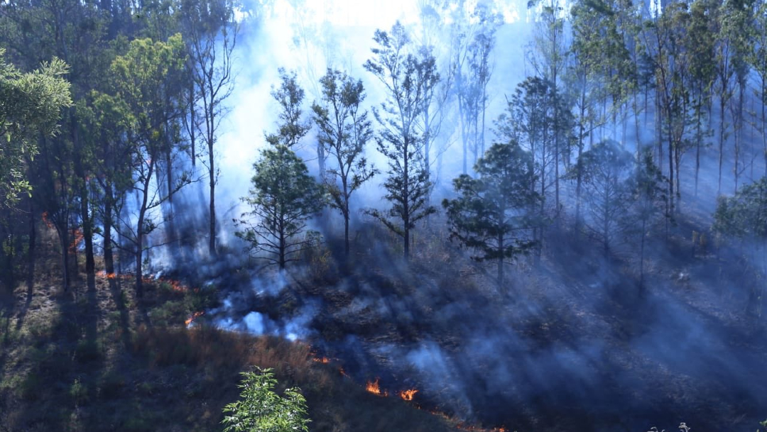 Foto: Hay 50 incendios forestales activos en México, 27 de marzo de 2020, (@cofom_michoacan)