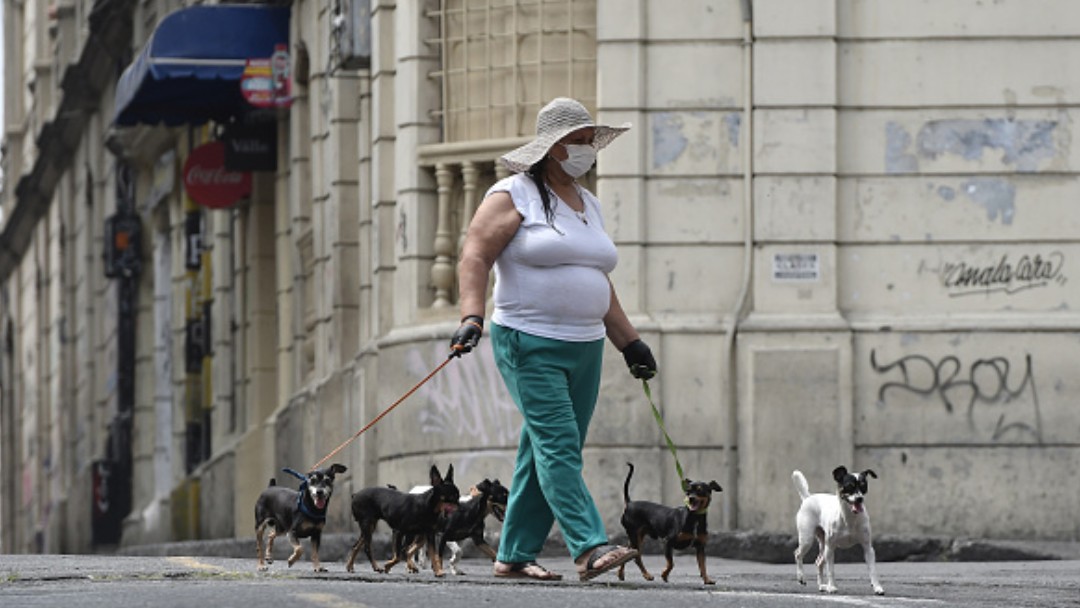 Foto: Una mujer pasea a varios perros. Getty Images