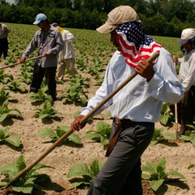 EEUU limita visas para trabajadores mexicanos por coronavirus