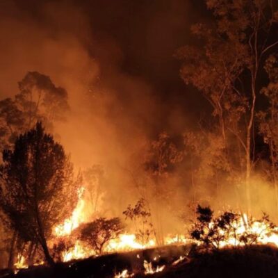 Siguen los trabajos para sofocar el incendio en la Sierra de Guadalupe, entre la CDMX y Edomex