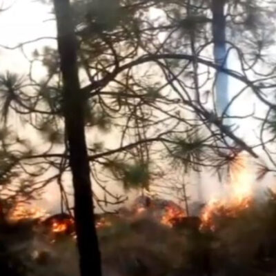 Incendios forestales consumen hectáreas de pastizales y arbustos en Puebla