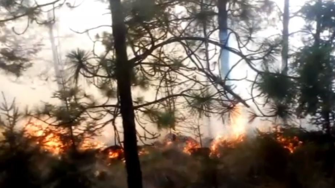 FOTO: Incendios forestales consumen hectáreas de pastizales y arbustos en Puebla, el 29 de marzo de 2020