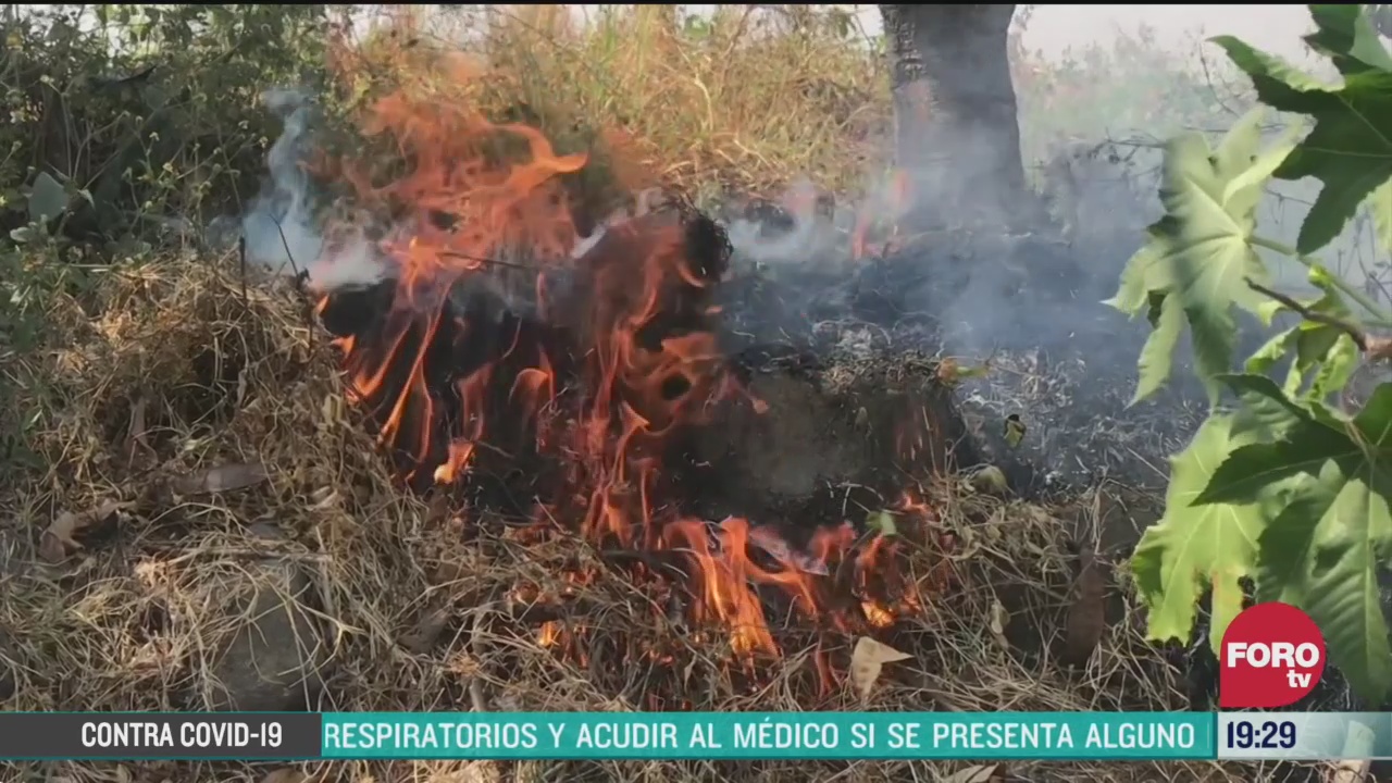 FOTO: 29 marzo 2020, incendios forestales consumen pastizales en puebla