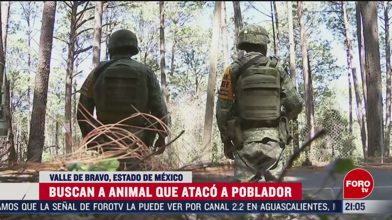 Foto: Muere Hombre Ataque Animal Salvaje Valle De Bravo Felino 4 Marzo 2020