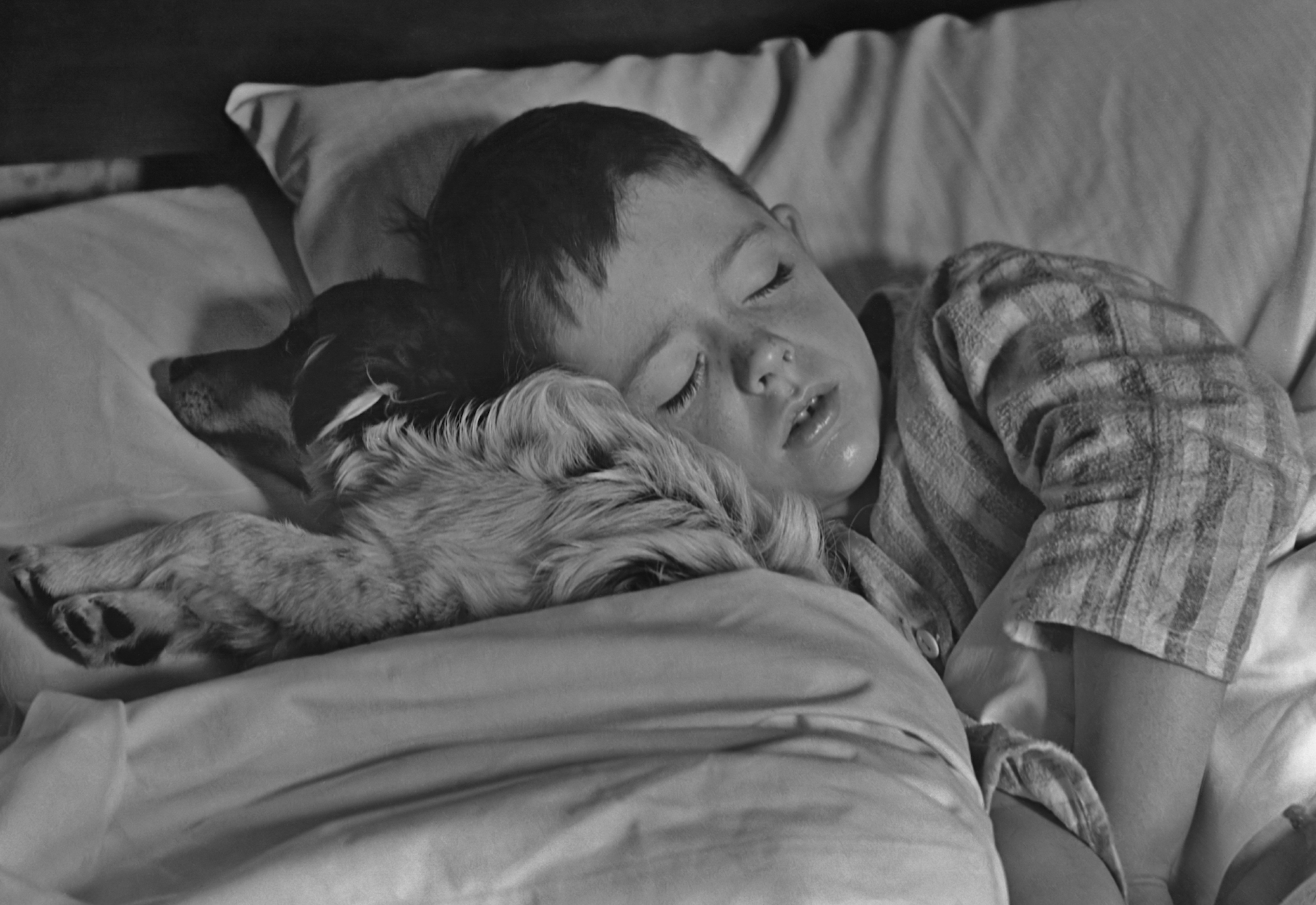 Foto Día Mundial del Sueño: Un recordatorio sobre la importancia de dormir bien 5 marzo 2020