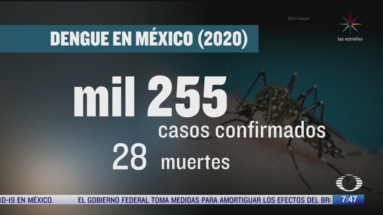 se han confirmado mil 255 casos de dengue en mexico durante