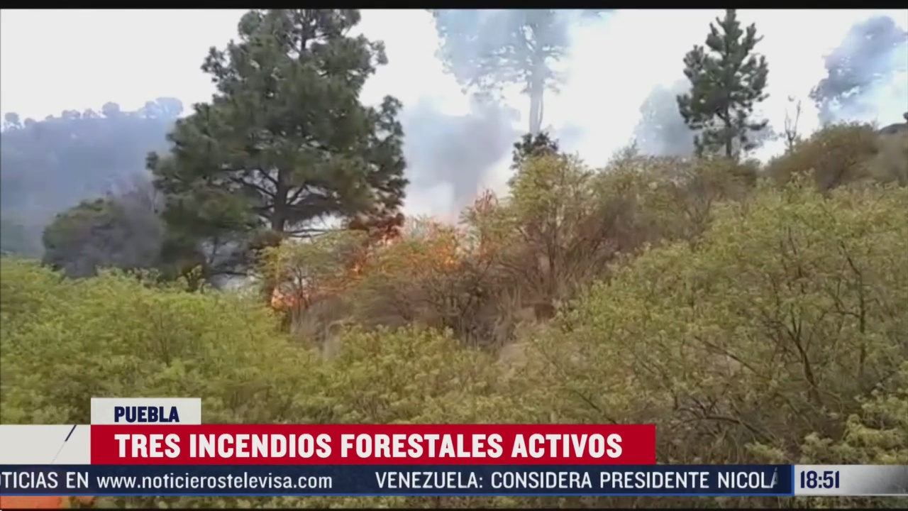 FOTO: se registran tres incendios forestales en puebla