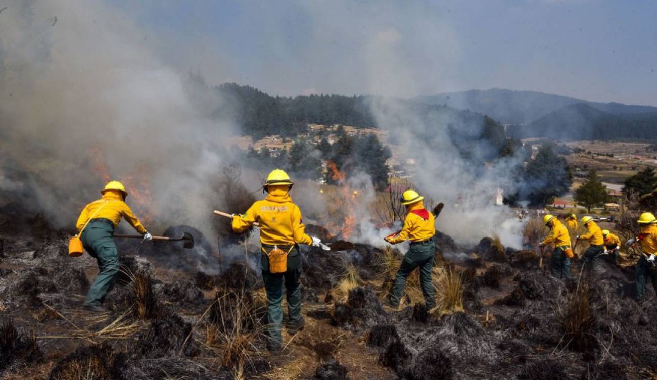 Foto: Suman 28 incendios forestales activos en México, 27 de marzo de 2020, (Cuartoscuro, archivo)