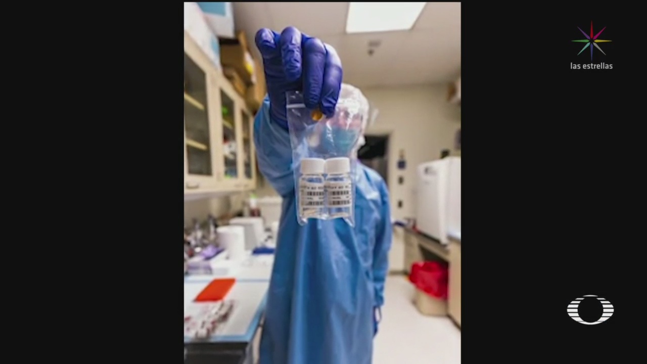 Foto: Científicos Universidad De Pittsburgh Desarrollan Vacuna Contra Coronavirus 6 Abril 2020