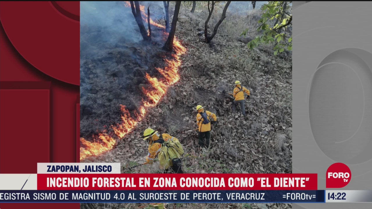 FOTO: 25 de abril 2020, controlan incendio forestal que se registro en el diente en zapopan