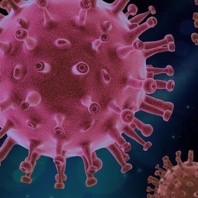 El coronavirus NO fue creado en un laboratorio chino, ni su origen fue financiado por Bill Gates