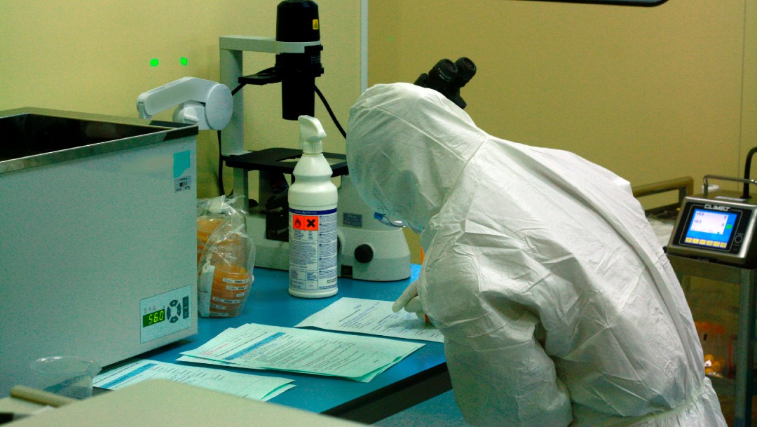 Foto: Italia probará en humanos una vacuna contra el coronavirus