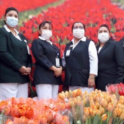 Holanda regala tulipanes a personal del IMSS