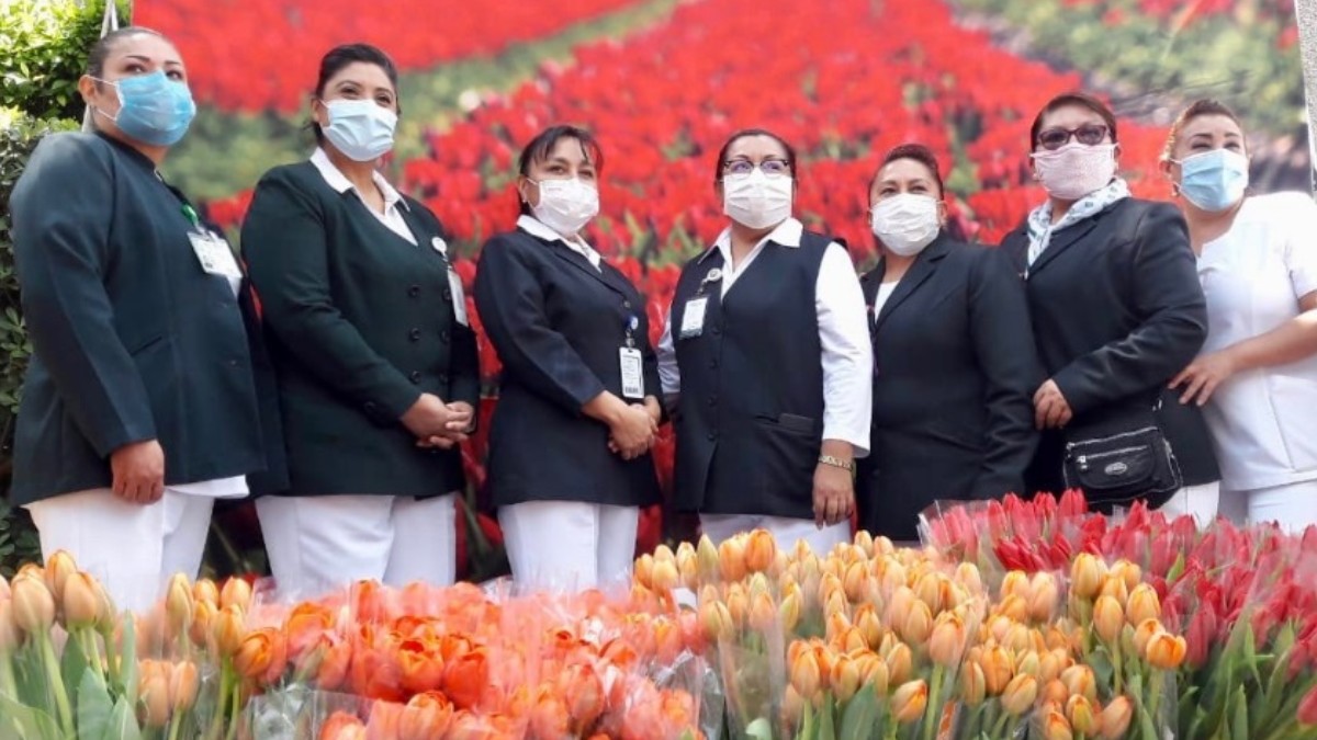 Holanda regala tulipanes a personal del IMSS