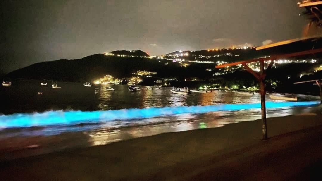 Fotos: Playas de Acapulco se iluminan con extraña luz neón