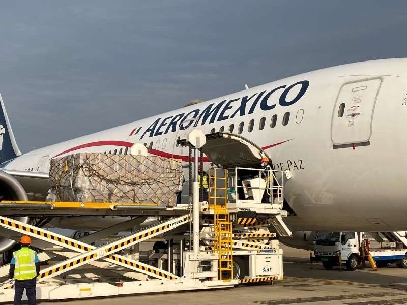 Foto: Llega a México quinto vuelo con insumos médicos contra coronavirus desde China', 23 de abril de 2020, , ( Twitter @m_ebrard)