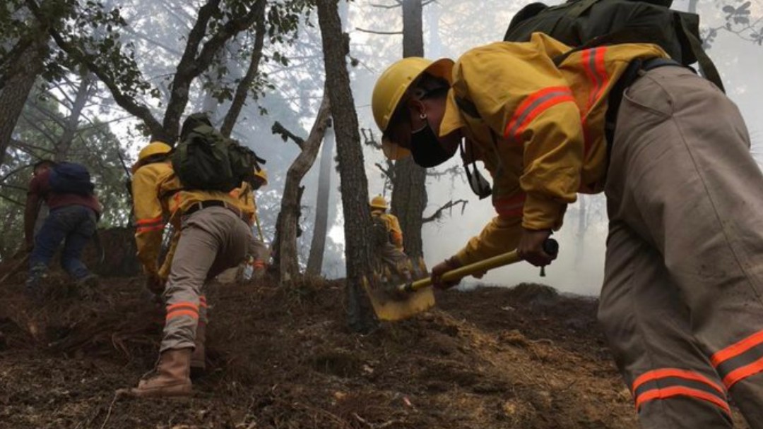 Foto: Bomberos y equipos de rescate combaten un incendio forestal en Oaxaca. Twitter/