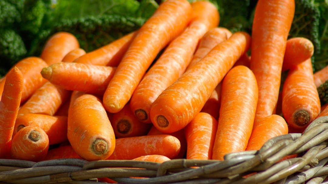 ¿Qué pasa si guardas las zanahorias en agua en el refrigerador?