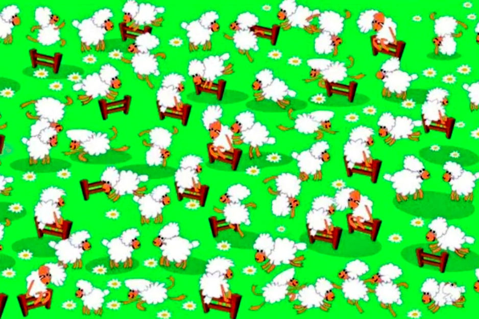 Foto Reto visual: ¿Puedes encontrar a la mamá gallina escondida entre las ovejas? 22 abril 2020