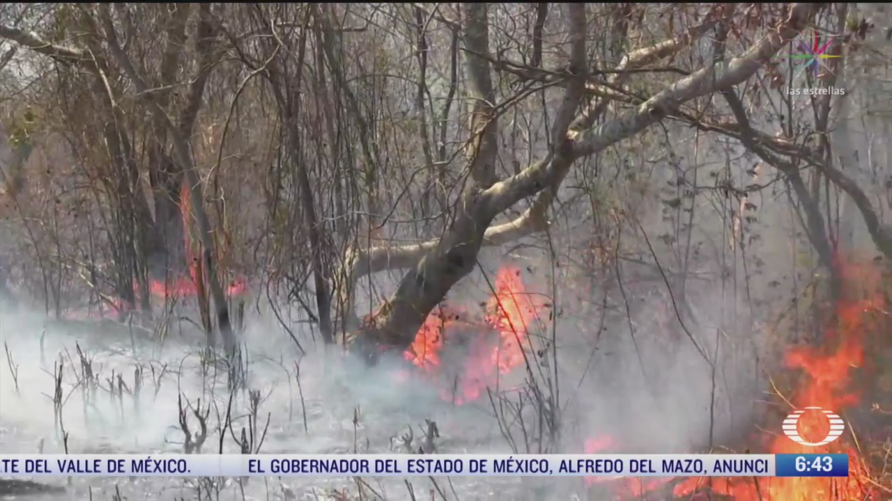 hay 51 incendios activos en la republica mexicana