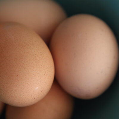 ¿Debemos lavar los huevos antes de guardarlos en el refrigerador o cocinarlos?