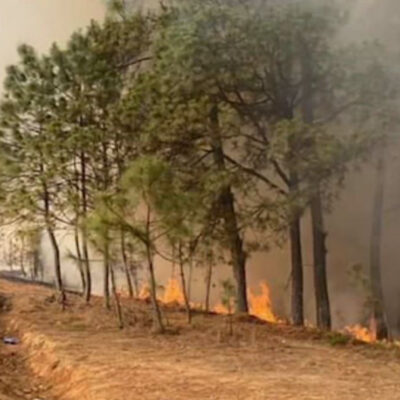 Mueren seis personas por incendio forestal en Oaxaca