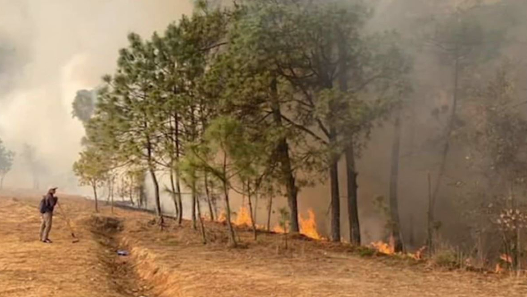 FOTO: Mueren seis personas por incendio forestal en Oaxaca, el 12 de abril de 2020