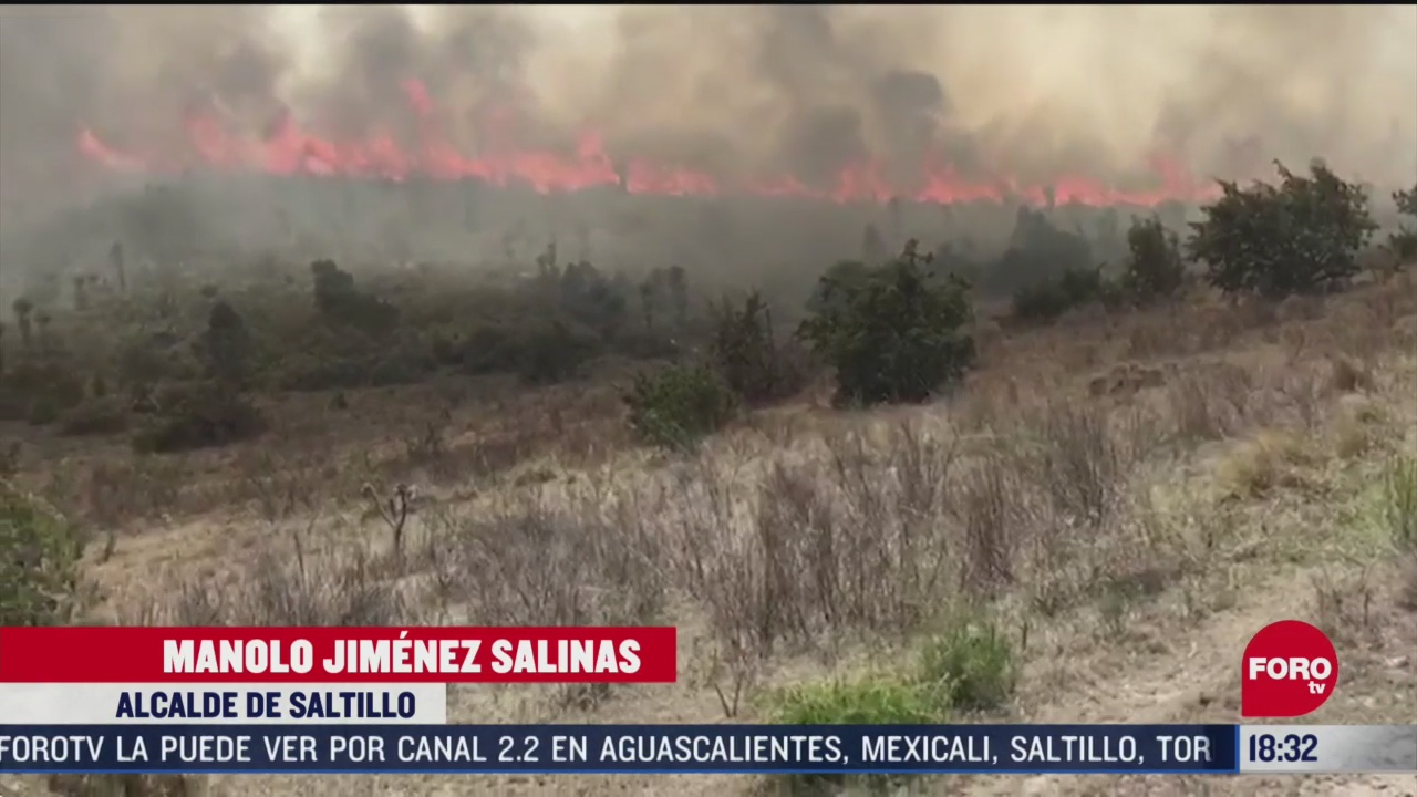 FOTO: incendios forestales afectan a coahuila
