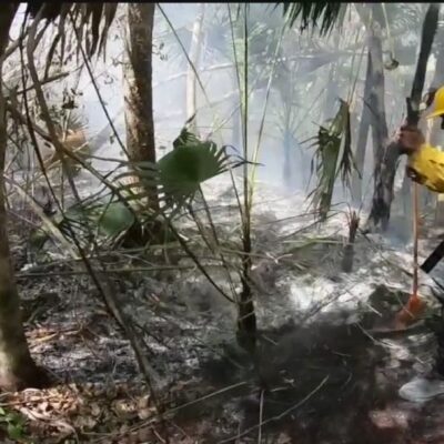 Quintana Roo suma 11 incendios activos en seis municipios