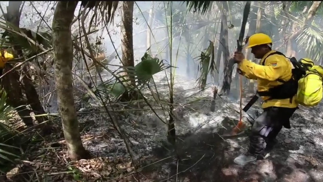 Quintana Roo suma 11 incendios activos en el estado, 24 de abril de 2020, (ForoTv)