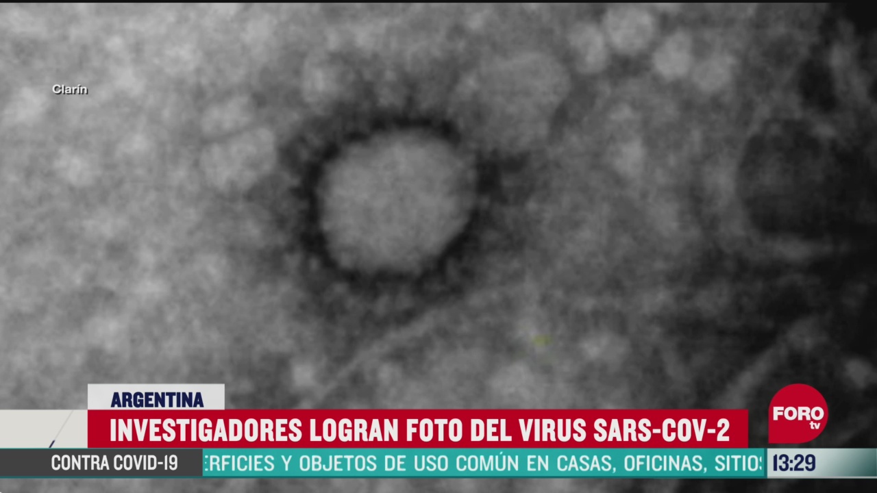 FOTO: investigadores logran fotografia del coronavirus