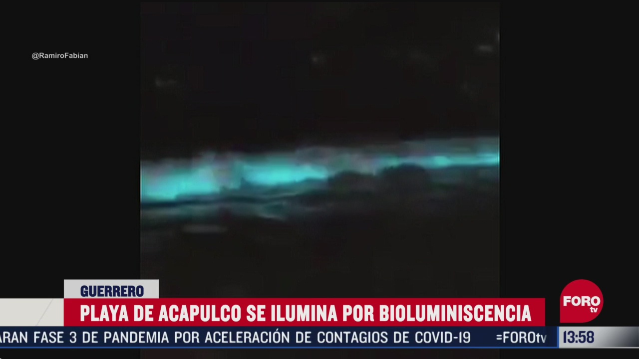 FOTO: playa de acapulco se ilumina por bioluminiscencia