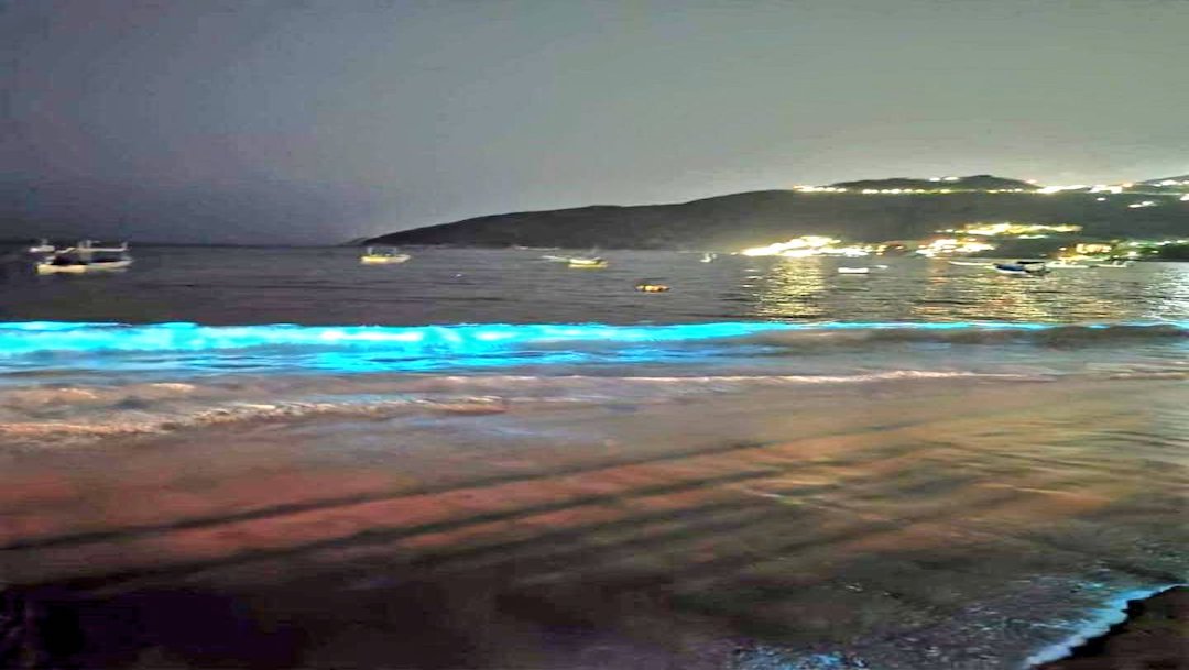 Coronavirus: Bioluminiscencia sorprende en playa de Acapulco