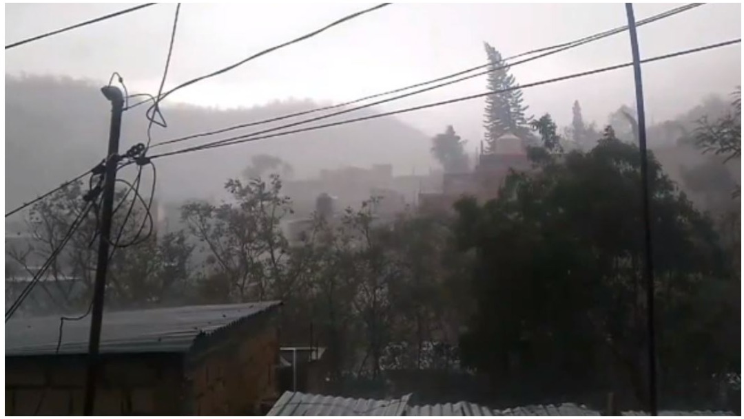 Foto: Se registra caída de árboles por fuertes lluvias en Oaxaca, 10 de mayo de 2020 (Televisa)