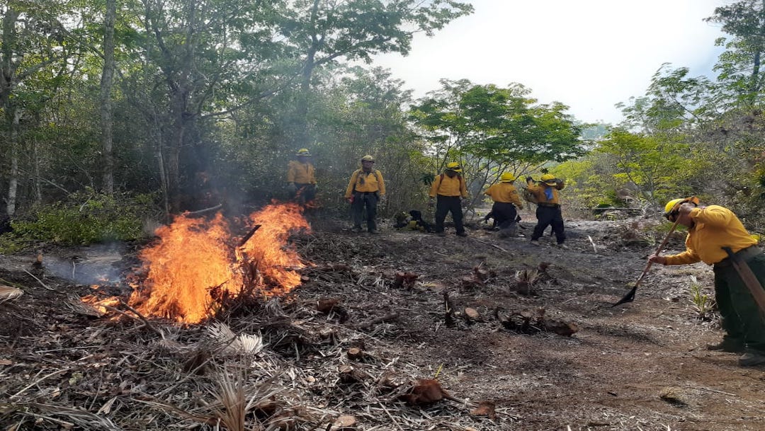 Brigadistas intentan sofocar incendios en Quintana Roo