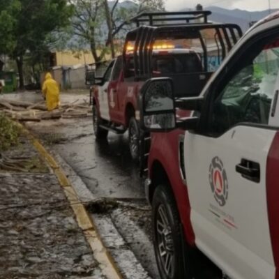 Lluvias y viento dejan inundaciones y caída de 17 árboles en Oaxaca