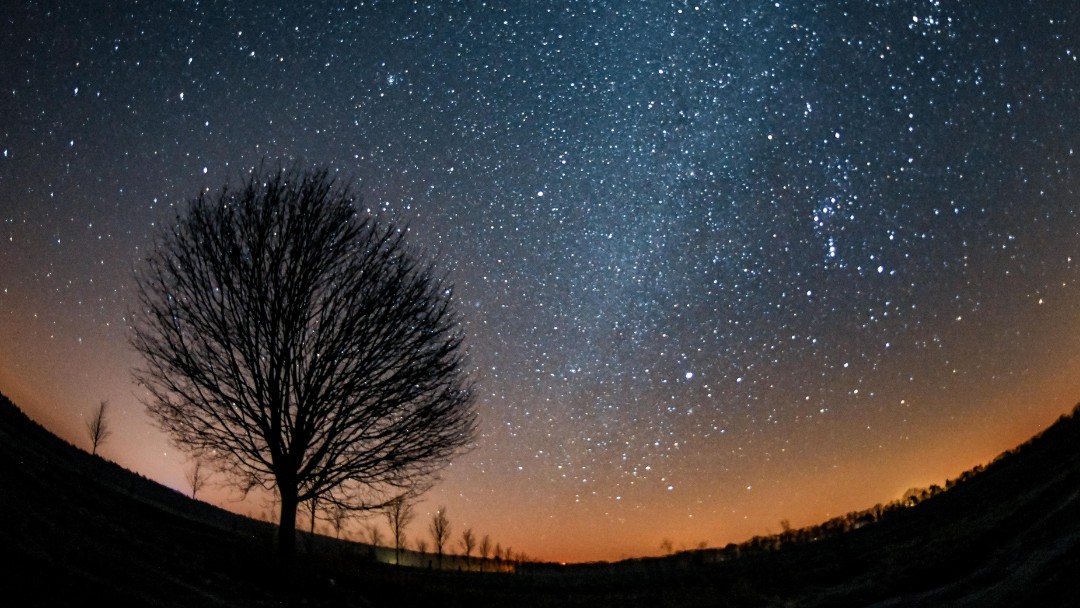 Cielo estrellado en Märkisch-Oderland, Alemania. Getty Images