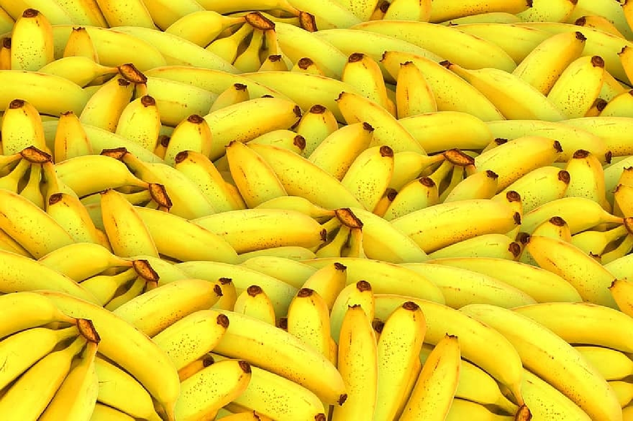 Imagen de plátanos. ¿Para qué sirve la cáscara de plátano?