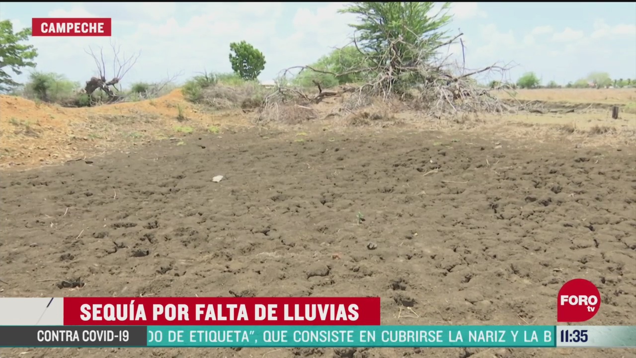FOTO: 23 de mayo 2020, cerca del 70 de las lagunas se encuentran secas en calakmul campeche