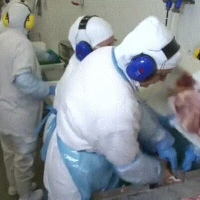 Cientos de trabajadores en empacadora de carne dan positivo a coronavirus en Brasil